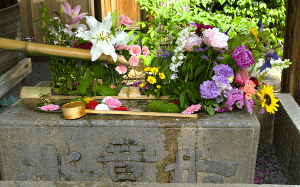 勝林寺の花手水