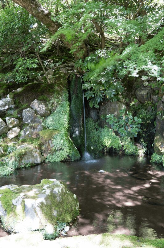 銀閣寺　庭園　滝